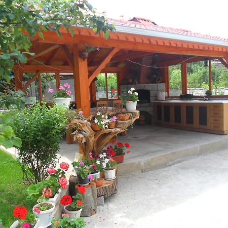 Vien Guest House Bansko Exterior photo